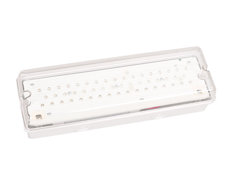 LE502L IP65 50LED กันน้ำไฟฉุกเฉิน