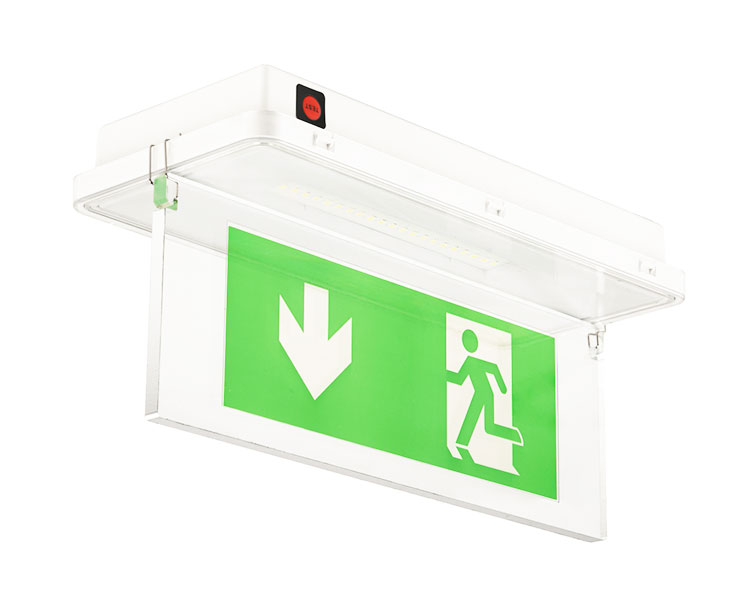 LE515-11 11LED กันน้ำโคมไฟ-IP65