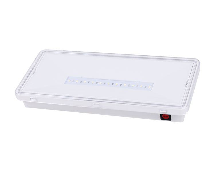 LE515-11 11LED กันน้ำโคมไฟ-IP65
