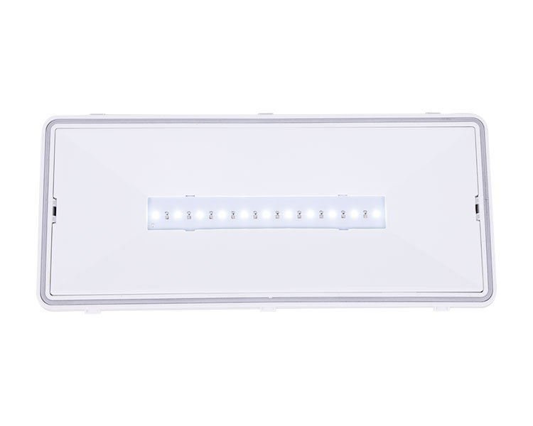 LE515-11 11LED กันน้ำโคมไฟ-IP65